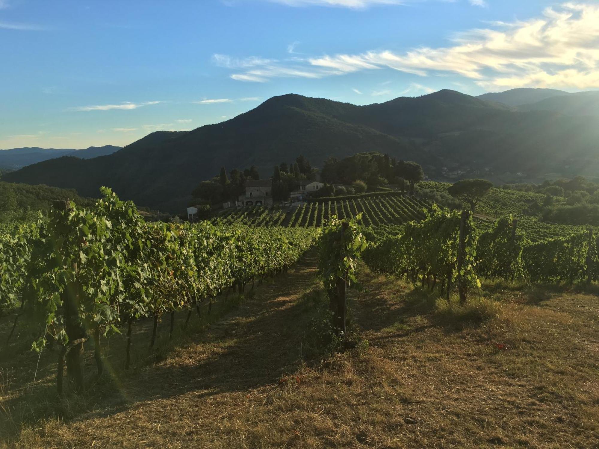 Frascole Villa Dicomano Екстериор снимка