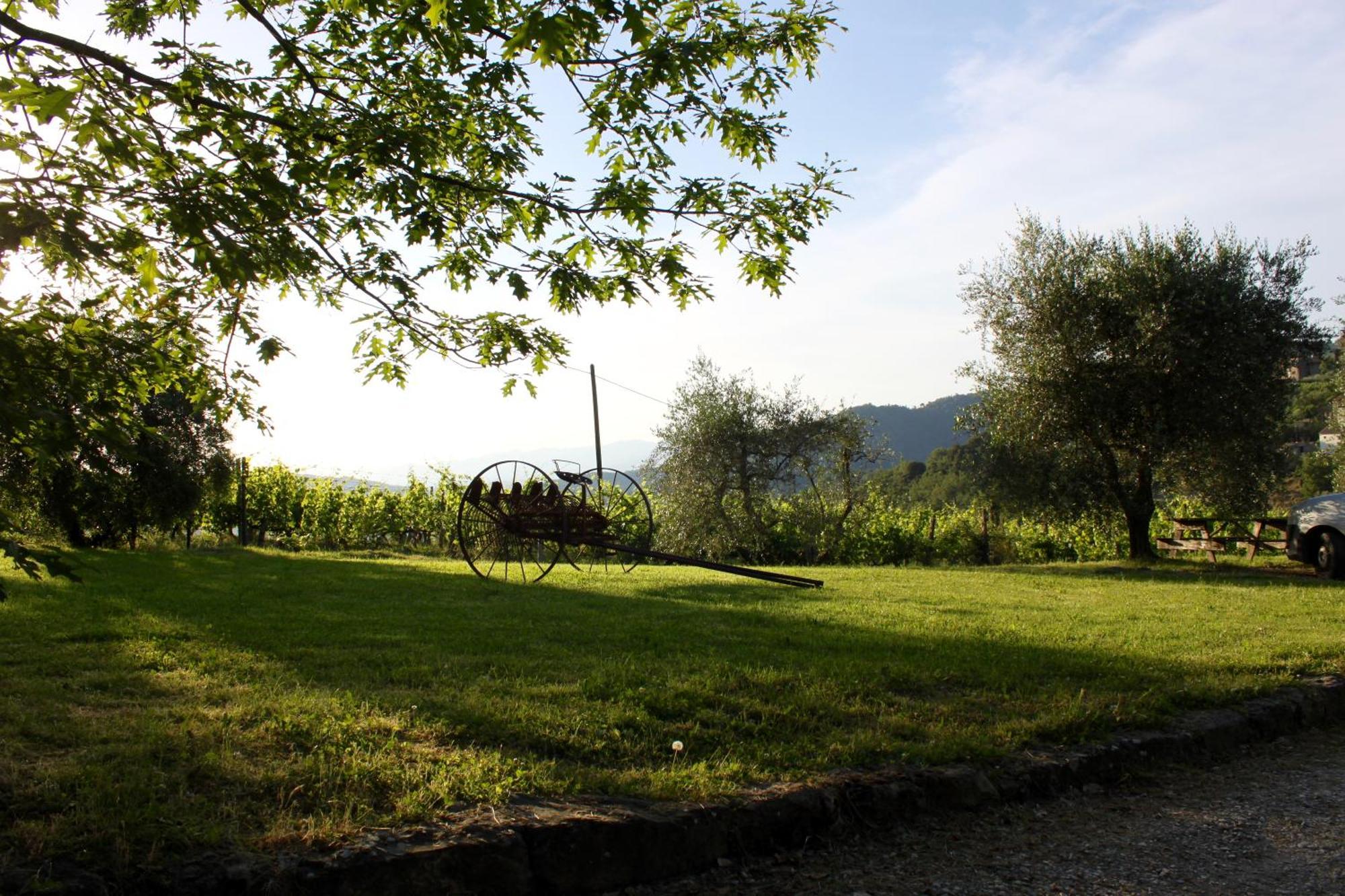 Frascole Villa Dicomano Екстериор снимка