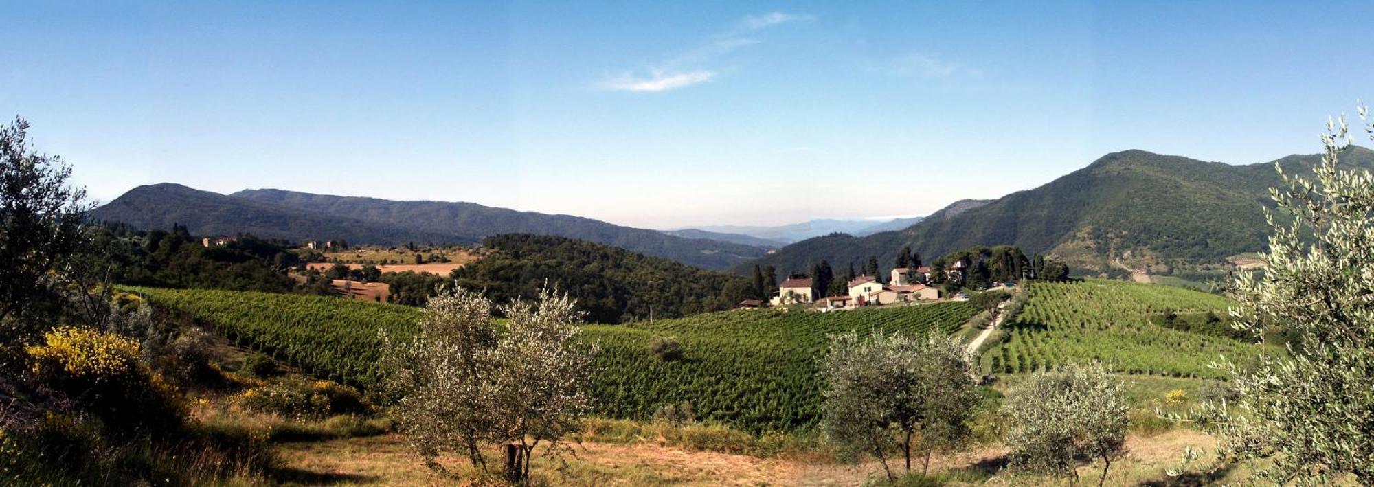 Frascole Villa Dicomano Екстериор снимка